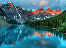 乐鱼体育app：打造极致体育体验的首选平台